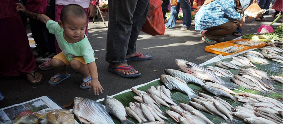 PEKAN SARI TEMERLOH - SYURGA IKAN SUNGAI PAHANG